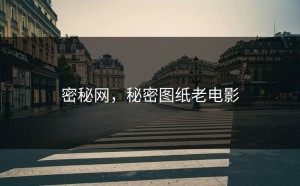 密秘网，秘密图纸老电影