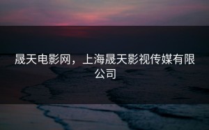 晟天电影网，上海晟天影视传媒有限公司
