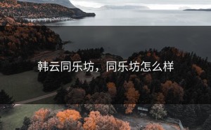 韩云同乐坊，同乐坊怎么样