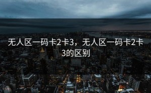 无人区一码卡2卡3，无人区一码卡2卡3的区别
