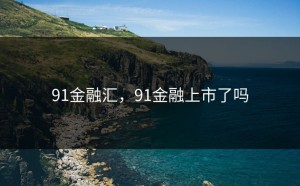 91金融汇，91金融上市了吗