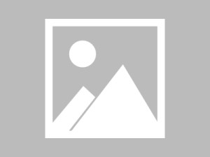 冷门提醒：遇到“国内黑料社区”这类词，先做这一步：先查来源再转发