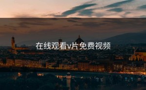 在线观看v片免费视频