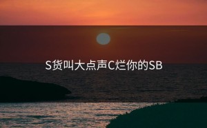 S货叫大点声C烂你的SB