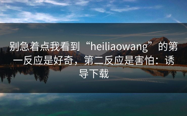别急着点我看到“heiliaowang”的第一反应是好奇，第二反应是害怕：诱导下载