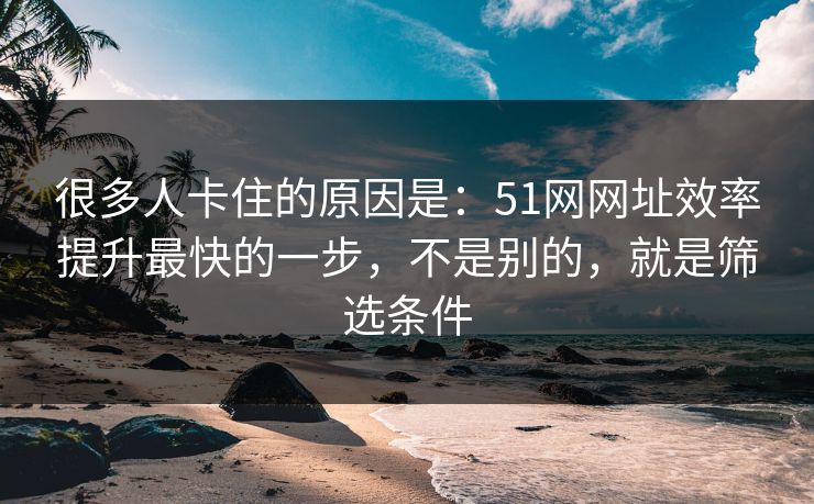 很多人卡住的原因是:51网网址效率提升最快的一步,不是别的,就是筛选条件 很多人卡住的原因是:51网网址效率提升最快的一步,不是别的,就是筛选条件